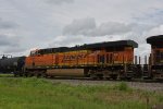 BNSF 7431 Roster shot